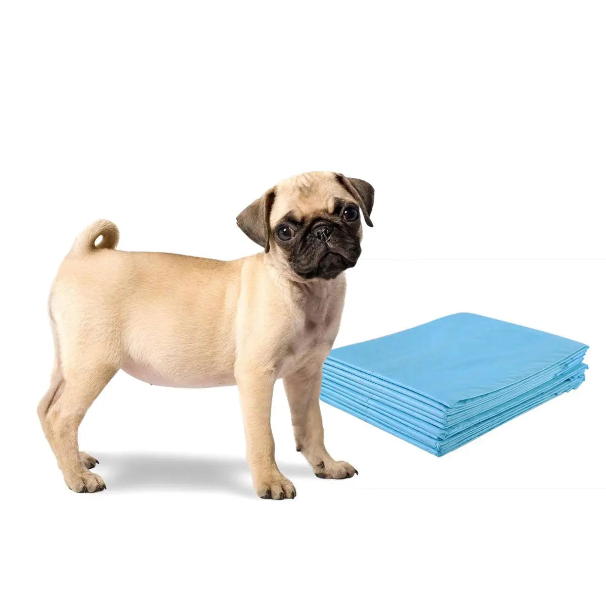 Tapis Éducateurs pour Chien (100 pcs) – Anti-Fuite et Absorption Rapide pour une propreté sans souci. Just Animal